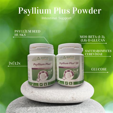 Psyllium Plus Powder 40g Cat & Dog - NaturelVet