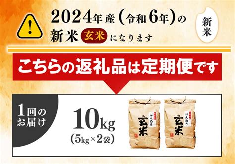 【楽天市場】【ふるさと納税】【6回と12回が選べる定期便】 玄米 合計60kg 120kg はえぬき 10kg（5kg×2袋）× 6回 12回