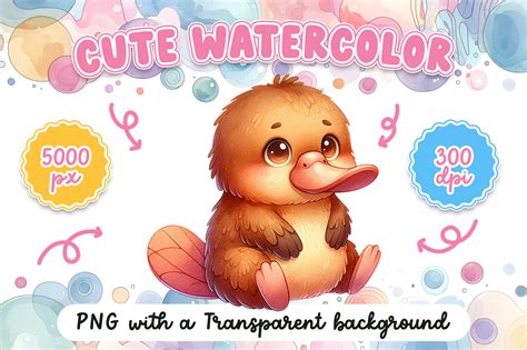 Cute Watercolor Platypus Graphic By Sellingpod · Creative Fabrica