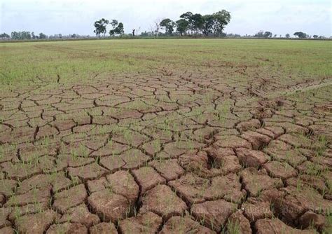 Siccità al Sud la Calabria in stato di emergenza