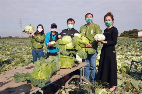 黃偉哲行動挺菜農 邀企業團體認購高麗菜做公益 風傳媒