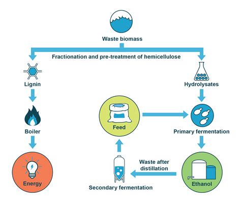 2nd Generation Biofuels MicroBioGen