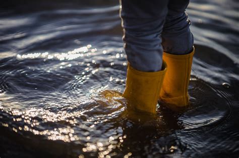 Alluvione Dalla Camera Di Commercio Della Romagna Fondo Di Milioni