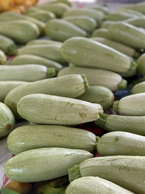 Lebanese Stuffed Kousa Squash The Lemon Bowl®