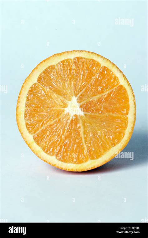 photograph      orange stock photo alamy