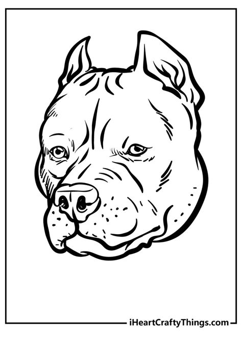 Pitbull Coloring Pages 100 Free Printables