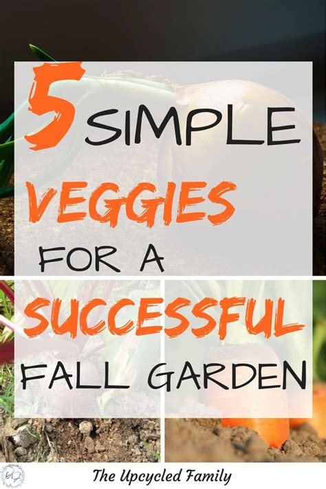 5 Easy To Grow Veggies For Your Successful Fall Garden Fall Garden