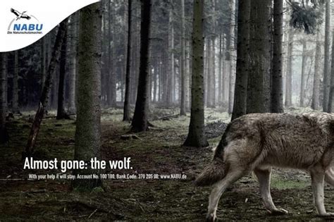 16 Environmental Awareness Banner Ads That Will Make You Think