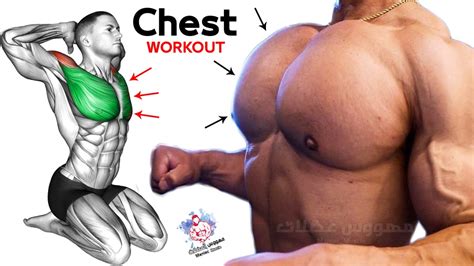 How To Make Bigger Chest Exercises Fastest 6 Effective Exercises تمارين الصدرً Youtube