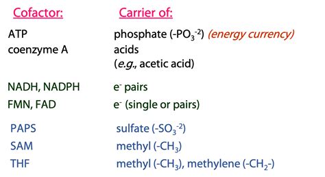 Adenosine Containing Cofactors Bioc Introduction To Biochemistry