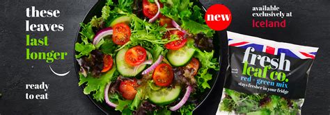 fresh leaf   leaves  longer