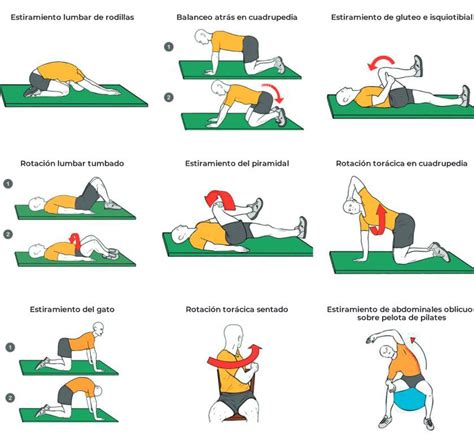 Lumbalgia Fb Salud Integral Clínica Fisioterapia Ibi Y Villena