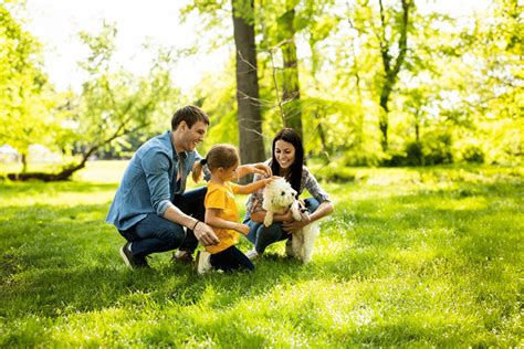 Actividades Familiares Al Aire Libre Para Conectar Con La Naturaleza AKI