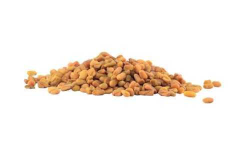 Fenugreek Seeds Png Transparent Images Free Download Vector Files