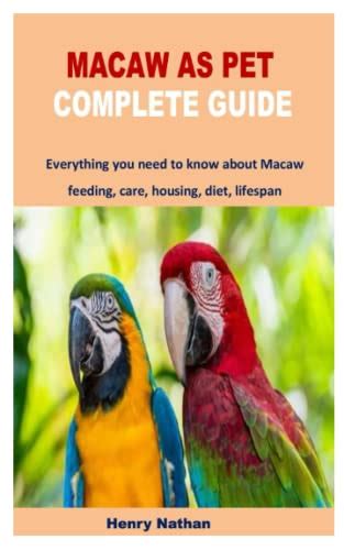 MACAW AS PET COMPLETE GUIDE: Everything you need to know about Macaw ...