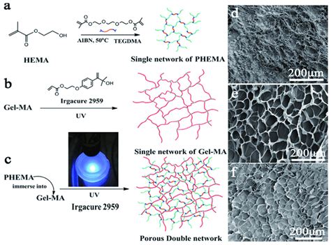 A Single Network Of Phema B Single Network Of Gel Maa C Porous