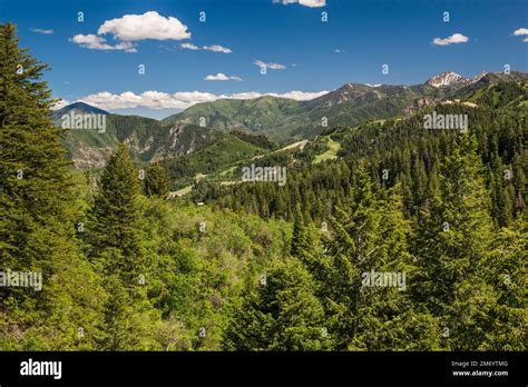 North Fork Ridge Wasatch Range View From Alpine Scenic Highway Utah