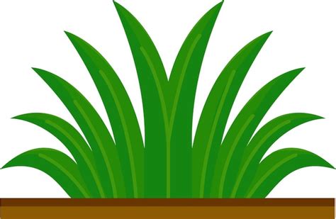 Premium Vector Illustration Of Grass