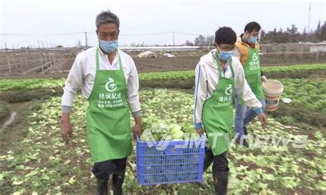 江门：拓宽农产品销售渠道 “指尖”选购“零接触”配送提升市民安全感