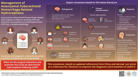 Consensus on the management of aneurysmal subarachnoid hemorrhage-related hydrocephalus ...