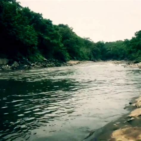 Stream Desembocadura del Río Bogotá en el Río Magdalena by Laura