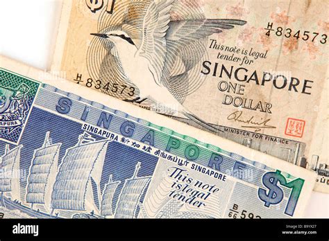 money currency detail   designs  singapore  dollar banknotes