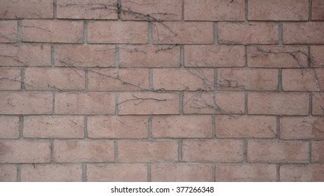 Cinder Block Wall Stock Photo 377266348 | Shutterstock