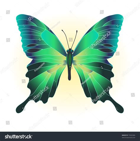 vector illustration beautiful green butterfly stock vector royalty