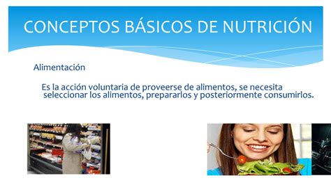 SOLUTION Conceptos Basicos De Nutricion Slides Studypool