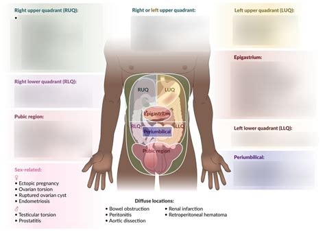 Acute Abdominal Pain Diagram Quizlet