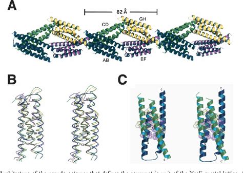 Figure From Protein Structure Report Crystal Structure Of The