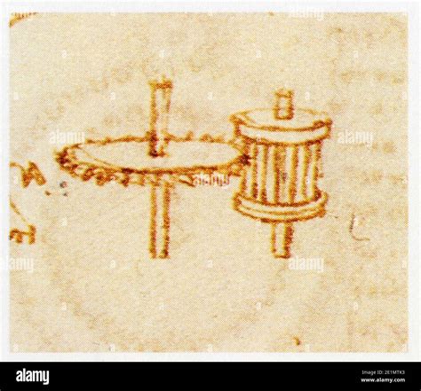 Leonardo Da Vinci La Roue Dent E Dans La Transmission Du