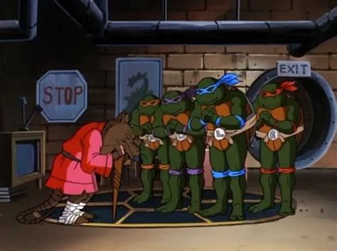 Teenage Mutant Ninja Turtles 1987 Season 10 Review • Aipt