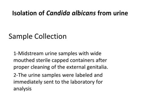 candida albicans (1).pdf