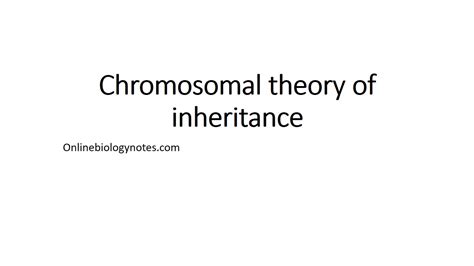 Chromosomal Theory Of Inheritance Online Biology Notes