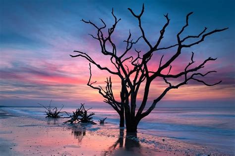 Boneyard Beach Sc Edisto Island Beautiful Landscapes Beautiful Nature