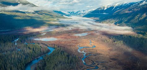 Skeena River Wild Salmon Center