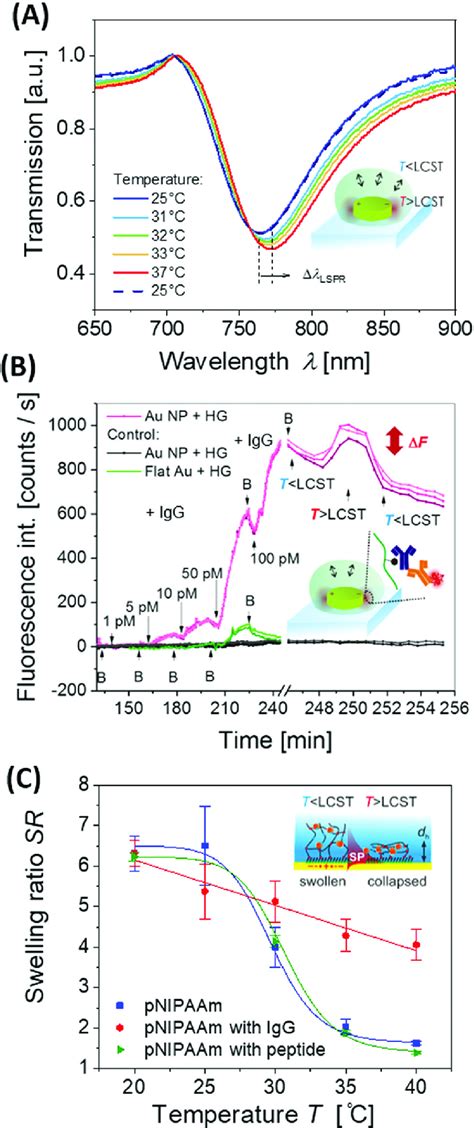 A Example LSPR Spectra And B PEF Readout Upon Affinity Binding To