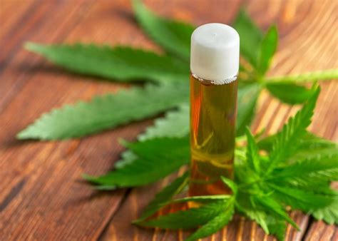 8 Amazing Cannabis Oil Benefits And How To Use It Wellme