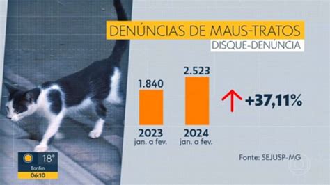 Denúncias de maus tratos a animais aumentam mais de 30 em Minas Gerais