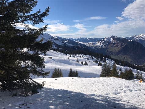 Niederrickenbach Zum Brisenhaus Schneeschuhclub Leichtfuss