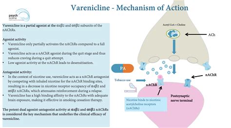 Varenicline CHAMPIX Mechanism Of Action And Clinical Use