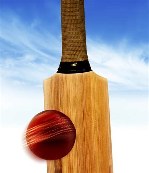 Cricket bat and ball — Stock Photo © hypermania #6011626