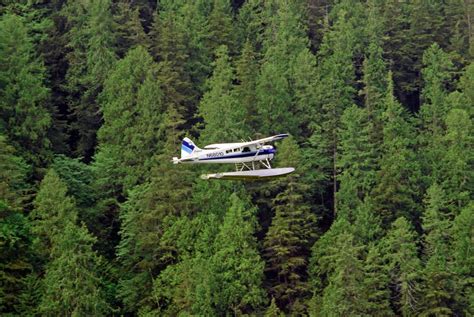 Ketchikan crash - Six dead and no survivors after plane carrying ...