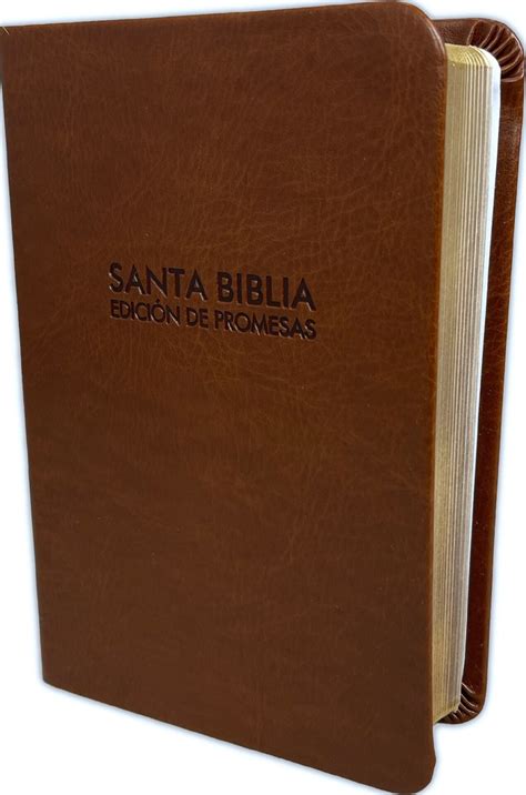 Santa Biblia De Promesas Rvr Compacta Letra Grande Piel Especial