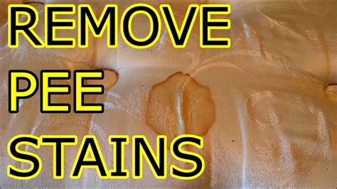 Remove Urine Stains From Mattress Youtube