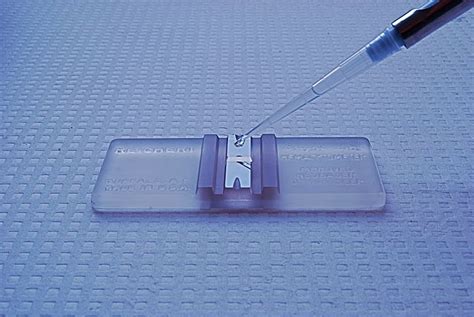 Microbe Brewer: Yeast Cell Counting and Viabilty: Hemocytometer