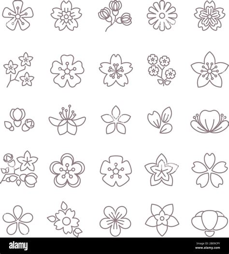 Spring Flower Thin Line Vector Icons Set Floral Flower With Petal