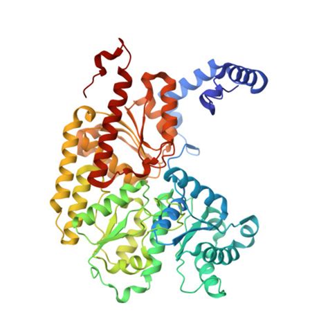 RCSB PDB 6UG0 N2 Bound Nitrogenase MoFe Protein From Azotobacter