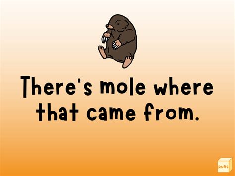 60 Funny Mole Puns Box Of Puns